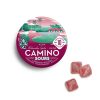 Kiva Camino Sours Watermelon Spritz Gummies